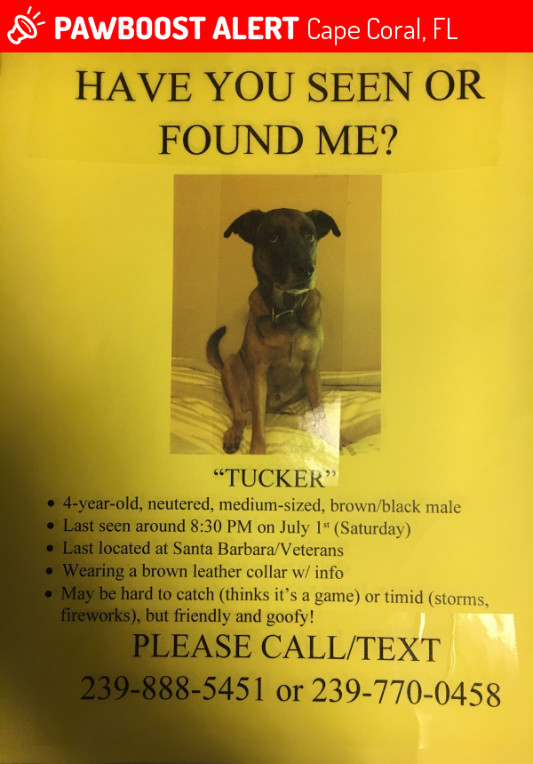 Lost Male Dog in Cape Coral, FL 33904 Named Tucker (ID 4677257) PawBoost