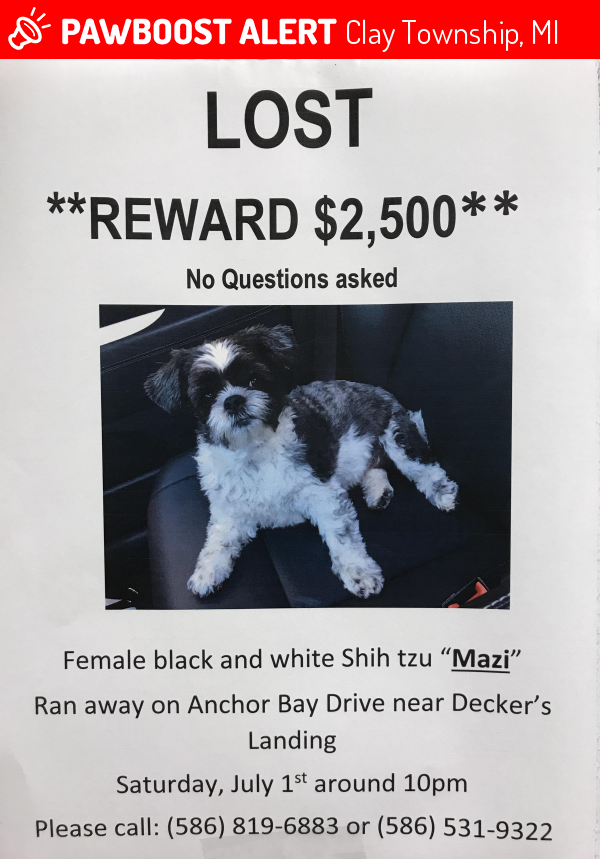 Lost Female Dog in Clay Township, MI 48001 Named Mazi (ID: 4678434 ...