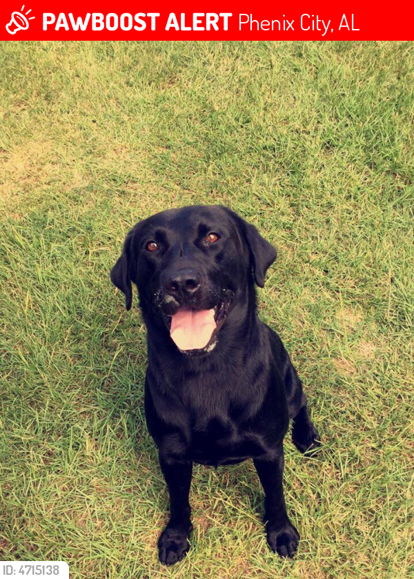 Lost Male Dog in Phenix City, AL 36867 Named Toby (ID 4715138) PawBoost