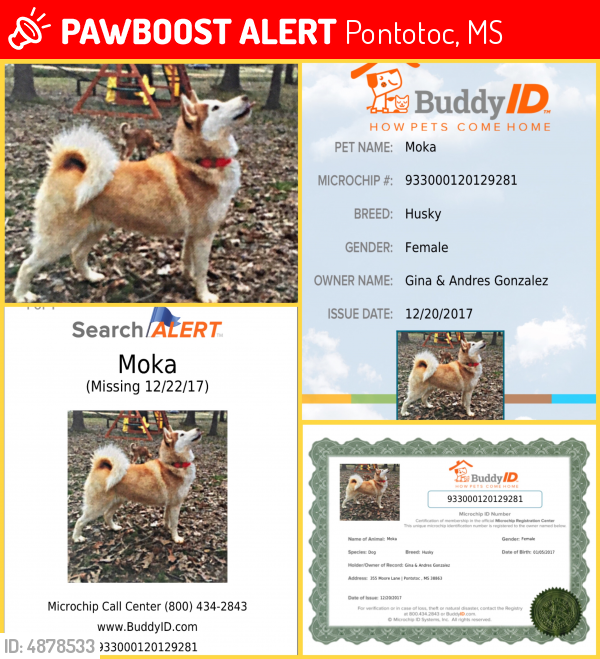 buddy id microchip