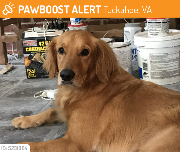 road wheeler road wheeler dog