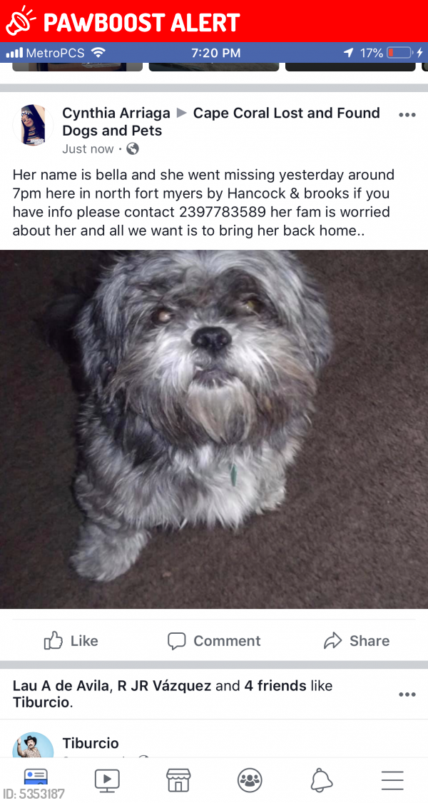 Lost Female Dog in North Fort Myers, FL 33903 Named Bella (ID: 5353187 ...