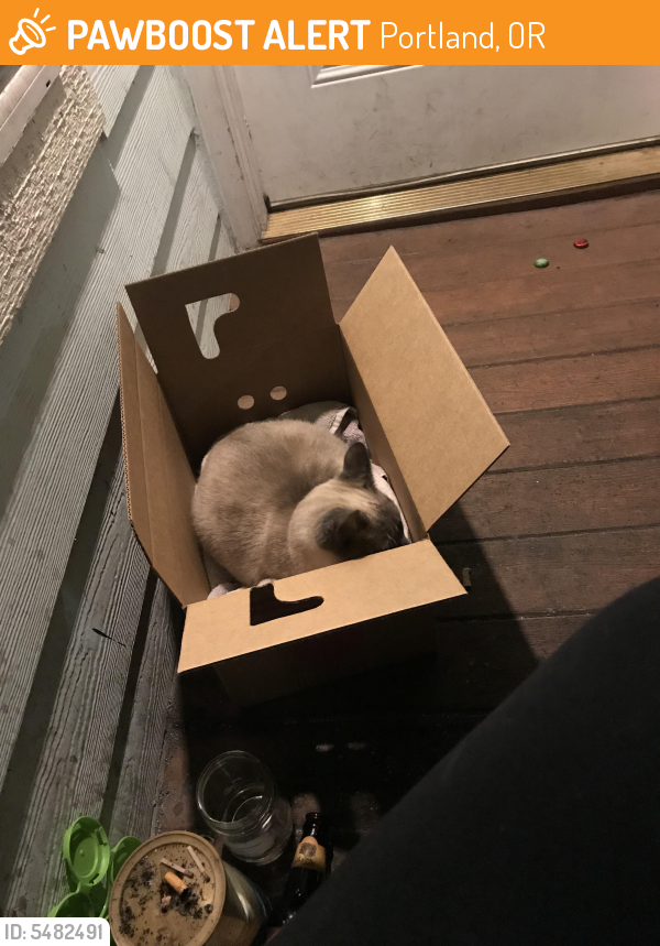 found cats near me