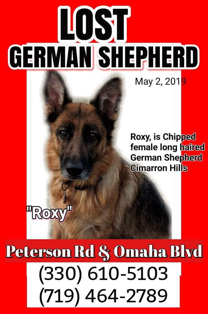 Lost Found Dogs Cats And Pets In Colorado Springs Co 80904