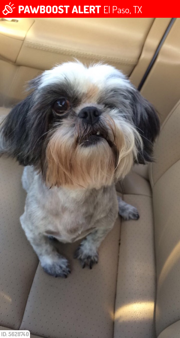 Lost Female Dog in El Paso, TX 79932 Named Darla (ID ...