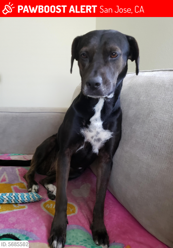 Kona photo