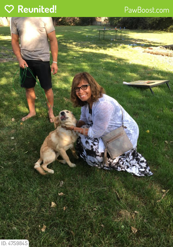 Reunited Male Dog in Fort Collins, CO 80524 (ID 4759845) PawBoost