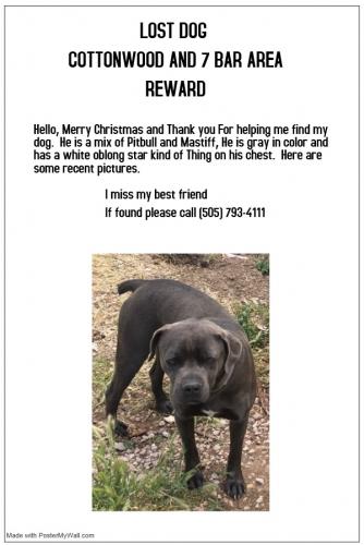 Lost Found Dogs Cats And Pets In Albuquerque Nm 87112