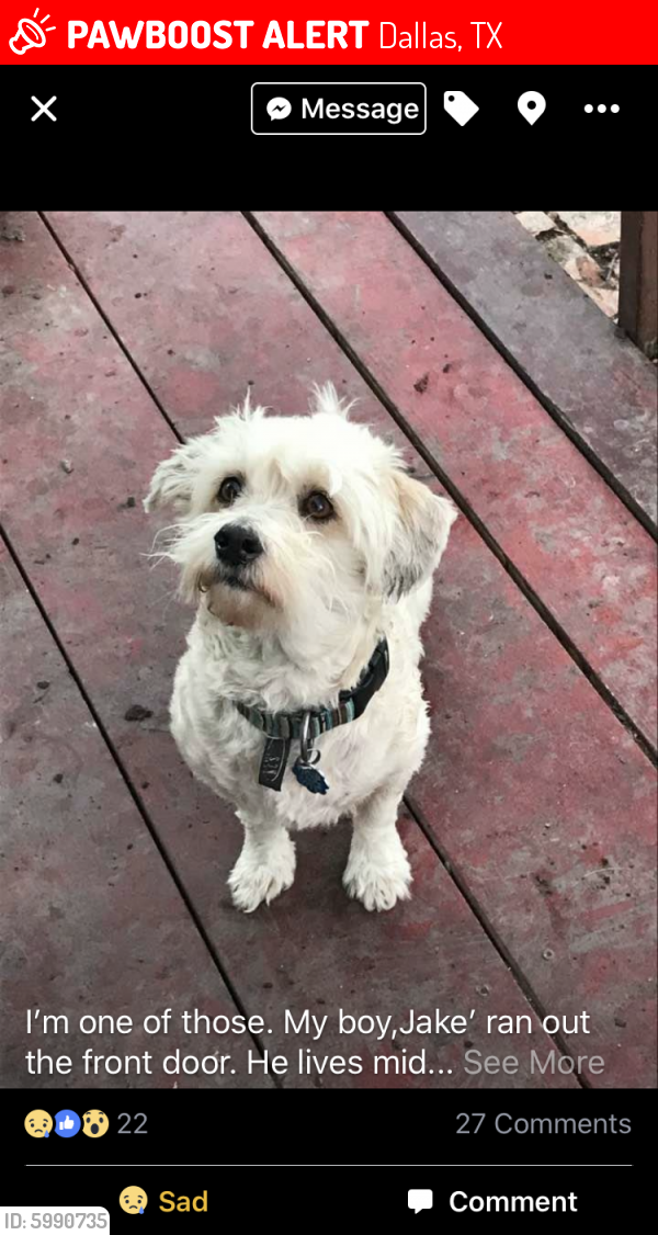 Lost Male Dog in Dallas, TX 75228 Named Jake (ID: 5990735) | PawBoost