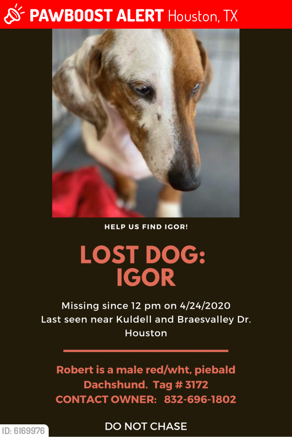 Lost Male Dog in Houston, TX 77096 Named Igo (ID: 6169976) | PawBoost