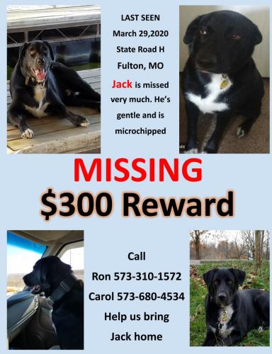 Lost & Found Dogs, Cats, and Pets in Columbia, MO 65201 ...