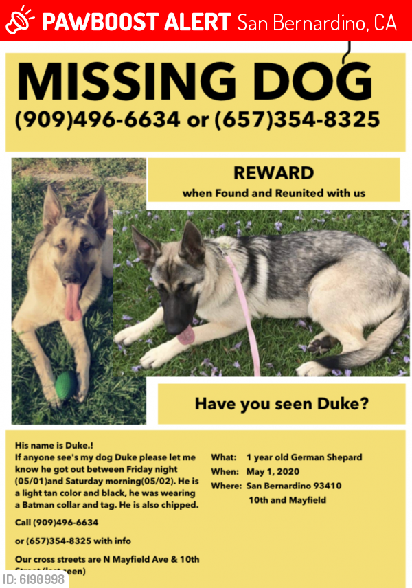 Lost Male Dog in San Bernardino, CA 92410 Named Duke (ID: 6190998