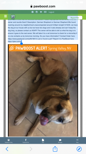 pawboost found dogs