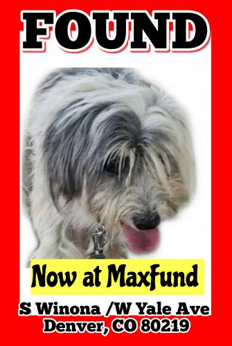 maxfund lost and found