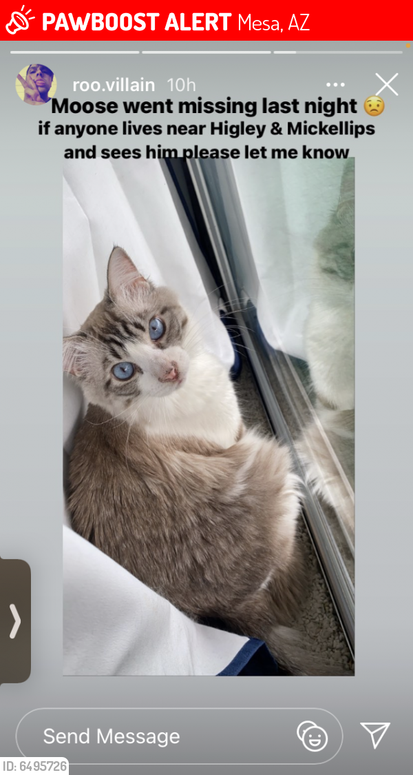 Lost Male Cat in Mesa, AZ 85205 Named Moose (ID 6495726