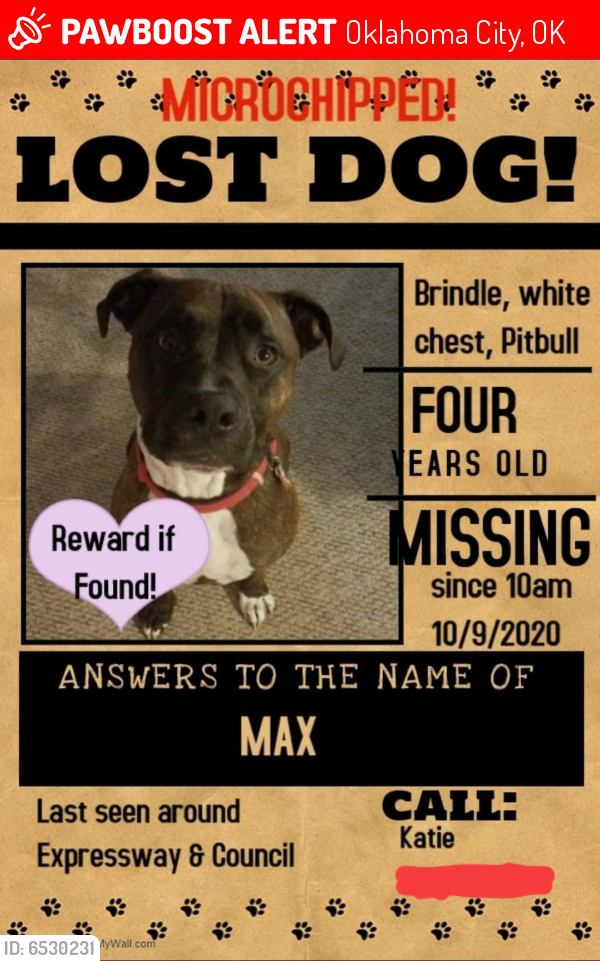 lost dogs near me