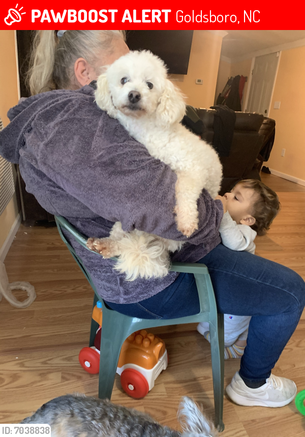 Lost Male Dog in Goldsboro, NC 27530 Named Gummy (ID 7038838) PawBoost