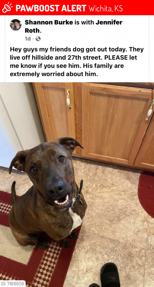 Lost Male Dog in Wichita, KS 67226 Named Jax (ID 7106056) PawBoost